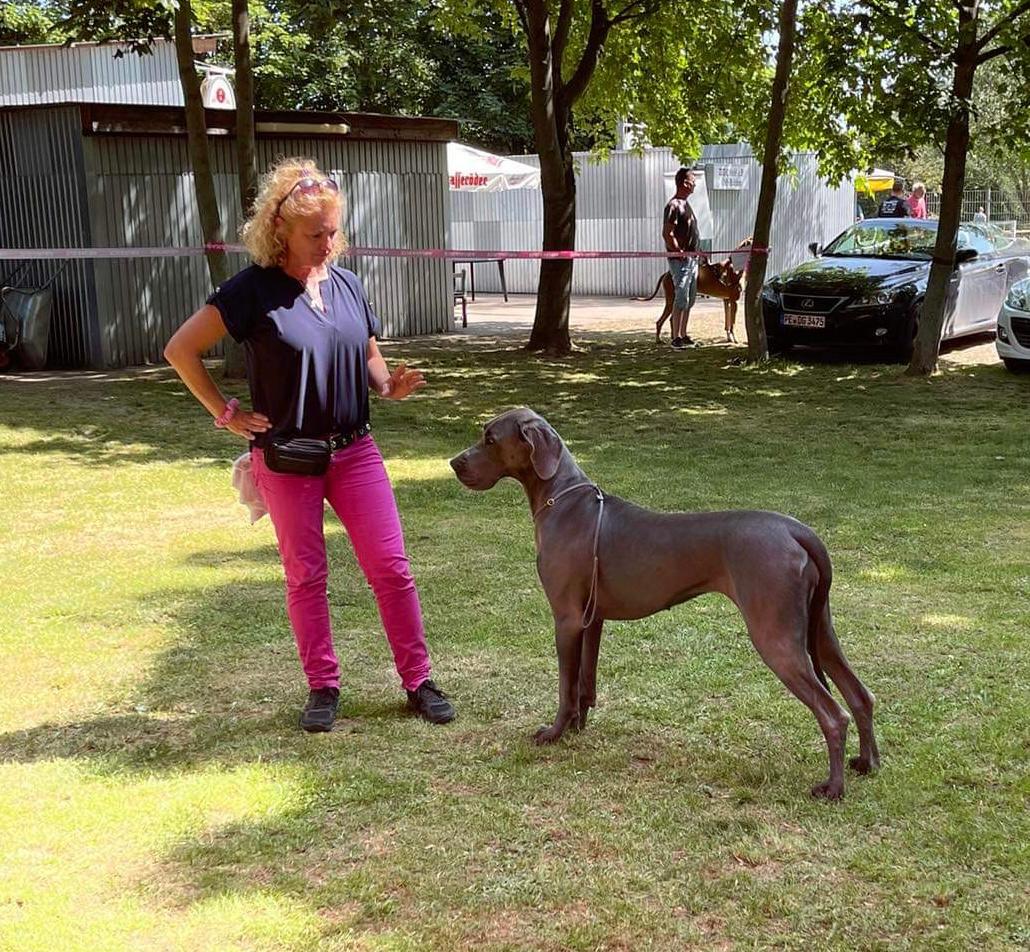 Doggen vom Blu-Beleza